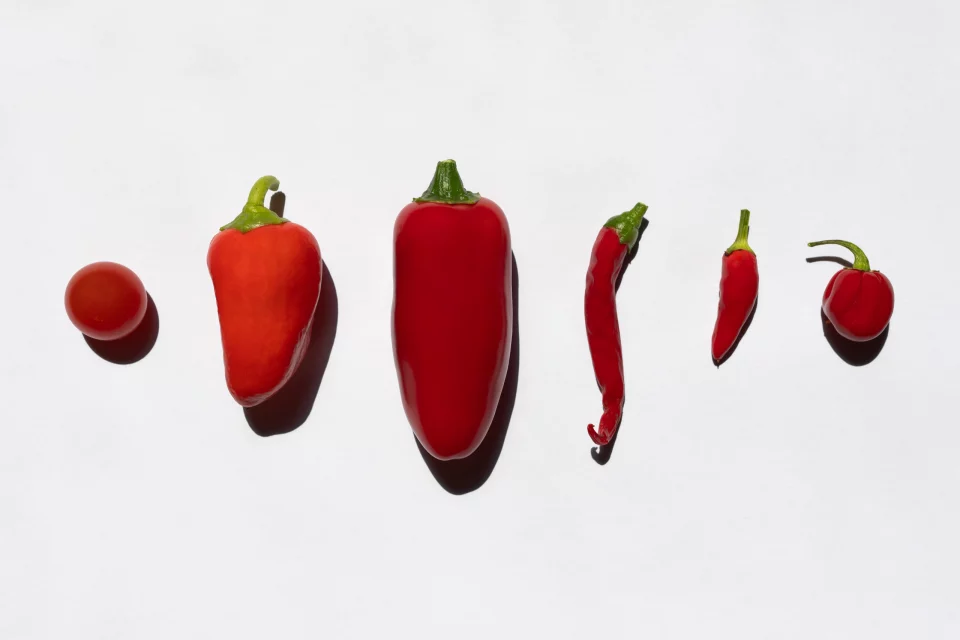 Nuance de feu