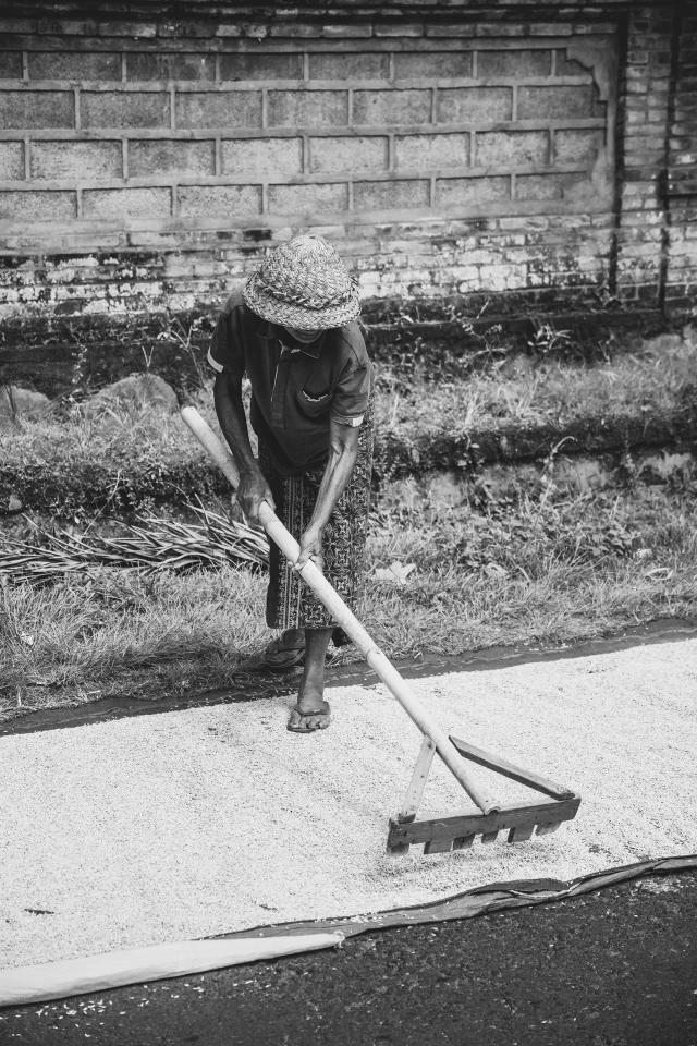 Savoir-faire